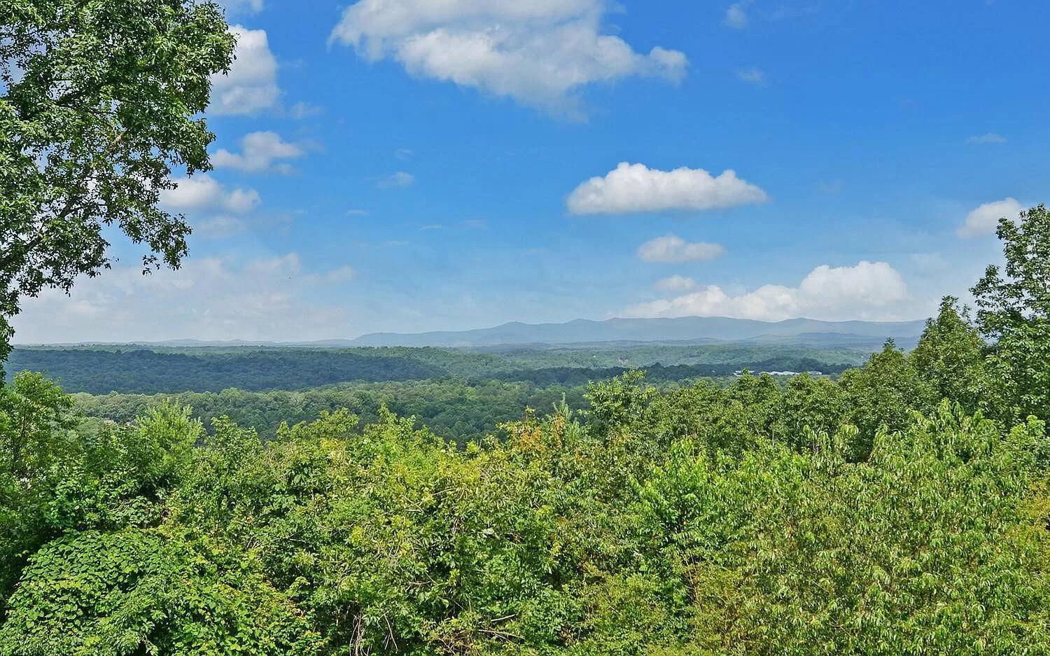 Birds Eye Cabin - Sunset & Starry Retreat Pet Friendly W Private Hottub, Fire Pit And Game Room Елліджей Екстер'єр фото