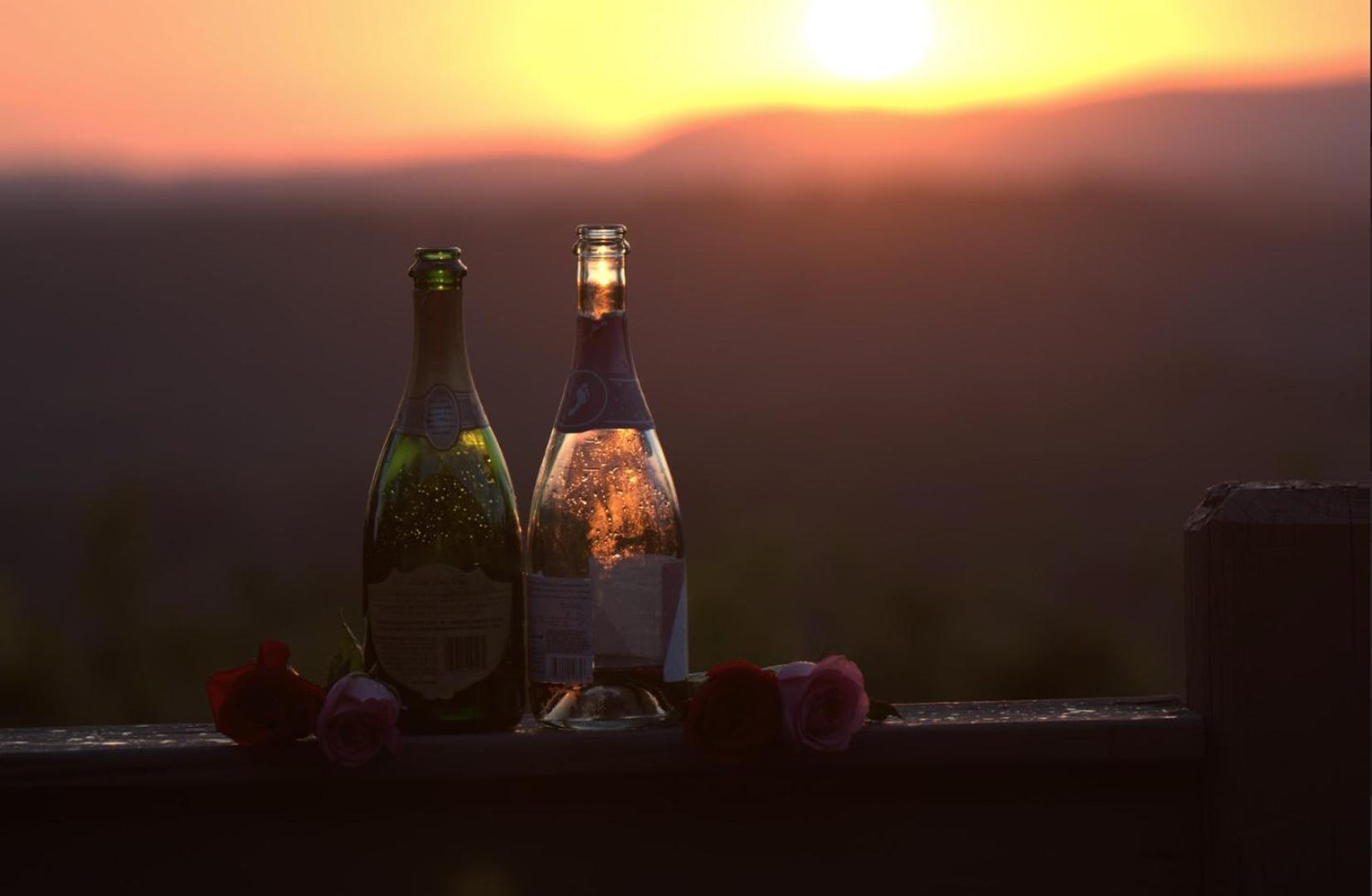 Birds Eye Cabin - Sunset & Starry Retreat Pet Friendly W Private Hottub, Fire Pit And Game Room Елліджей Екстер'єр фото